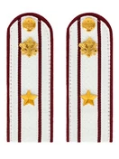 Погоны ФСИН комплект 3шт. картон (в сборе) укомплектованные с фурнитурой звание Майор 14х5 см