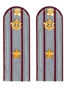 Погоны ФСИН комплект 3шт. картон (в сборе) укомплектованные с фурнитурой звание Майор 14х5 см