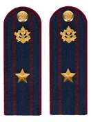 Погоны ФСИН комплект 3шт. картон (в сборе) укомплектованные с фурнитурой звание Майор 14х5 см