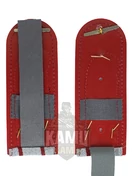 Погоны ФСИН на рубашку пластик, звание Полковник цвет серый 14х5 см