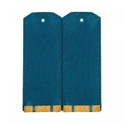 Погоны МО ВВС, ВДВ, ВКС парадные золотые трапеция один просвет