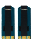 Погоны ВДВ, ВКС, ВВС парадные золотые с фурнитурой на Китель звание Подполковник Картон