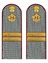 Погоны ФСИН серые на рубашку картон (в сборе) звание Младший сержант