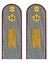 Погоны ФСИН серые на рубашку картон (в сборе) звание Старшина