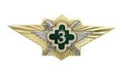 Знак нагрудный Классность офицерского состава ФСИН "3"