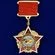Сувенирный нагрудный знак Воину-интернационалисту без удостоверения