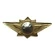 Знак классности Росгвардия офицерский М цвет красный Размер 7х3,4х1 см