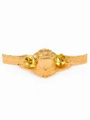 Знак сувенирный солдатский "классный специалист" 3