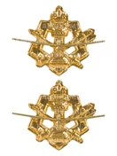 Эмблемы петличные (петлицы) ФСИН золотые 2 штуки