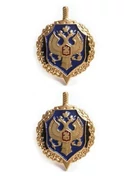 Эмблемы петличные петлицы ФСБ России цвет синий 2 шт.