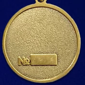 Медаль «Участник боевых действий на Северном Кавказе» 1994-2004 №555(250)