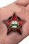 Орден Республики Афганистан «За храбрость» без удостоверения