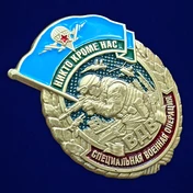 Знак ВДВ "Никто, кроме нас" для бойцов СВО №244
