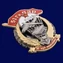 Знак "51 Гв. ПДП" №2912