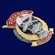 Знак "217 Гв. ПДП" №2977