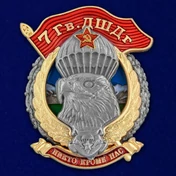 Знак "7 Гв. ДШДг" №2976