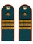 Погоны МЧС 14х5см КАРТОН с фурнитурой звание Сержант