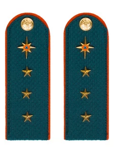 Погоны МЧС Старший Прапорщик Картон