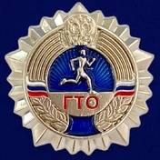 Серебряный значок ГТО №438