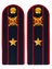 Погоны Полиции ПЛАСТИК (в сборе) укомплектованные с фурнитурой темно-синие (Майор) 14х5см