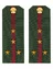Погоны МО офисные зеленые звание Капитан Пластик