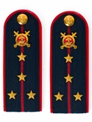 Погоны Полиции (в сборе) ПЛАСТИК укомплектованные с фурнитурой темно-синие (Капитан) 14х5см