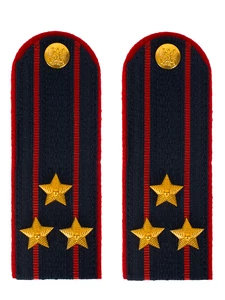 Погоны Полиция в сборе на китель темно-синие Полковник картон Пришивные