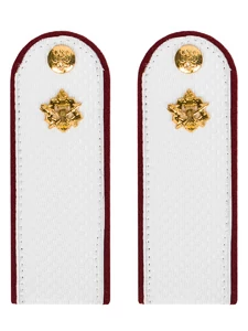 Погоны ФСИН на рубашку Рядовой Картон цвет белый 14х5 см