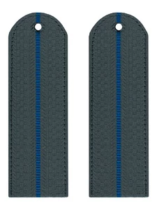 Погоны ФССП 1 просвет картон серые