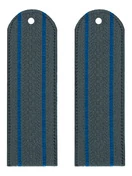 Погоны ФССП 2 просвета картон серые