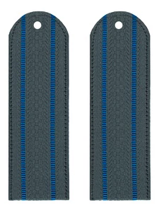 Погоны ФССП 2 просвета картон серые