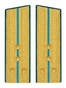 Погоны ВДВ, ВКС, ВВС парадные золотые с фурнитурой Скос на Китель звание Капитан