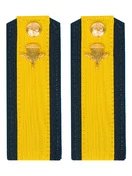 Погоны ВДВ с фурнитурой синие с желтым галуном Старшина Пластиковые