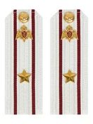 Погоны Росгвардии ФСВНГ на рубашку белые 14х5 см Картон звание Майор