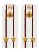 Погоны Росгвардии ФСВНГ на рубашку белые 14х5 см ПЛАСТИК звание Подполковник