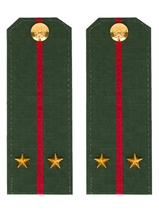 Погоны МО офисные зеленые звание Лейтенант Пластик