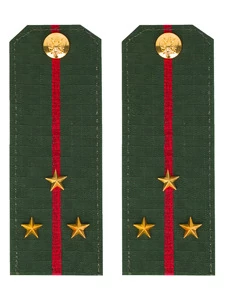 Погоны МО офисные зеленые звание Старший Лейтенант Пластик