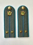 Погоны ФССП с фурнитурой серые звание Лейтенант картон 14х4,5см с Голубым кантом