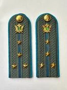 Погоны ФССП с фурнитурой серые звание Капитан картон 14х4,5см с Голубым кантом