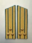 Погоны ВДВ, ВКС, ВВС парадные золотые с фурнитурой Скос на Китель звание Полковник