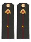 Погоны Росгвардии ФСВНГ на куртку 14х5 см ПЛАСТИК звание Младший Лейтенант