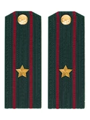 Погоны Росгвардии ФСВНГ на китель 14х5 см ПЛАСТИК звание Майор