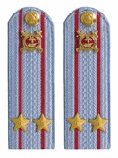 Погоны Полиции картон голубые Подполковник 13см