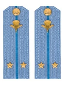 Погоны МО ВДВ голубые на рубашку Лейтенант в сборе Картон