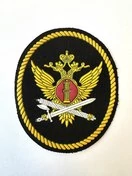 Шеврон пришивной на рукав ФСИН с орлом (учреждение УИС) пластизоль