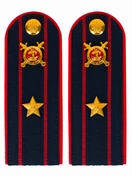 Погоны Полиции ПЛАСТИК (в сборе) укомплектованные с фурнитурой темно-синие (Майор) 14х5см