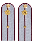 Погоны ФСИН на рубашку картон (в сборе) укомплектованные с фурнитурой звание младший лейтенант 14х5 см