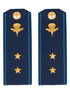 Погоны ВДВ с фурнитурой синие прапорщик Пластиковые
