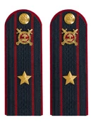 Погоны Полиции картон темно-синие Майор 15 см