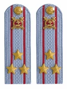 Погоны Полиции картон голубые Полковник 15 см